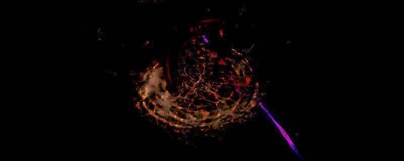 最后纪元复仇审判圣骑士相关图片