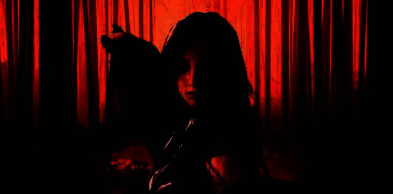 《影之刃零》相关图片2