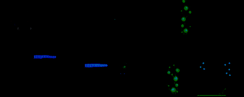 《钓鱼哥的奇妙冒险》游戏画面