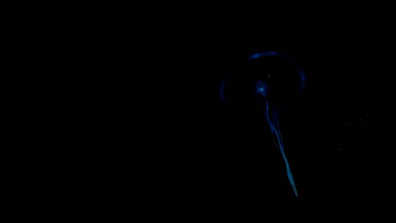 《毁灭战士：黑暗时代》游戏画面 15