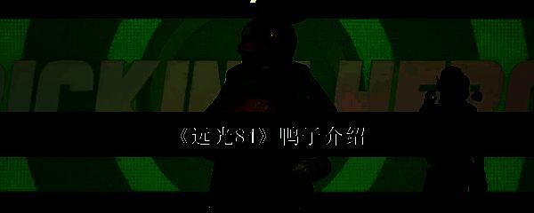 远光84鸭子相关图片1