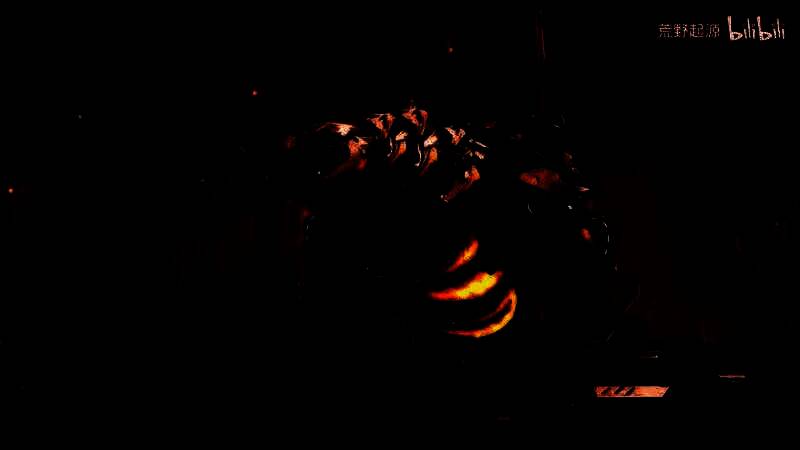 《荒野起源》视频截图4