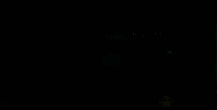 破壁任务和夜莺行动示意图