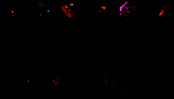 羁绊效果展示图