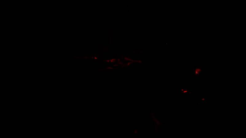 《碧海黑帆》游戏画面6