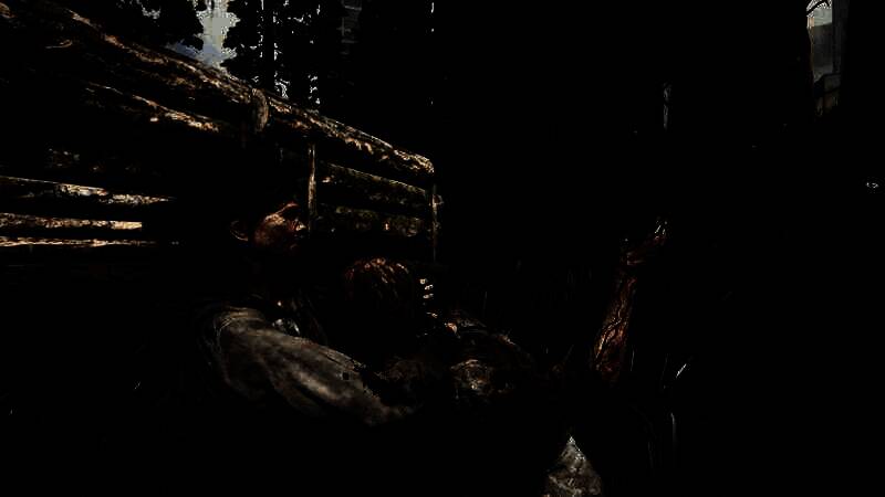 《最后的生还者2：重制版》开启光追MOD后的画面6