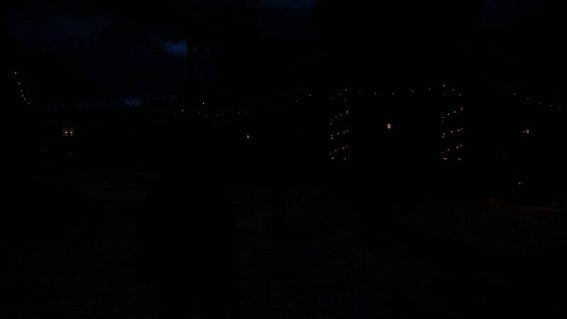 《最后的生还者2：重制版》开启光追MOD后的画面8