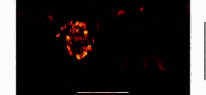 《上古卷轴4：湮没 复刻版》豪华版相关画面2