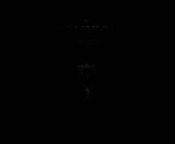 《上古卷轴4：湮没 复刻版》豪华版相关画面6