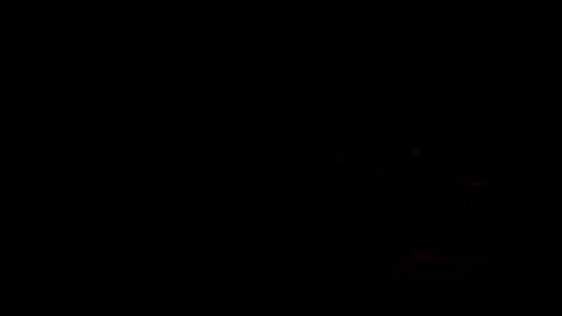 《阿格尼：灾难之村》游戏截图4