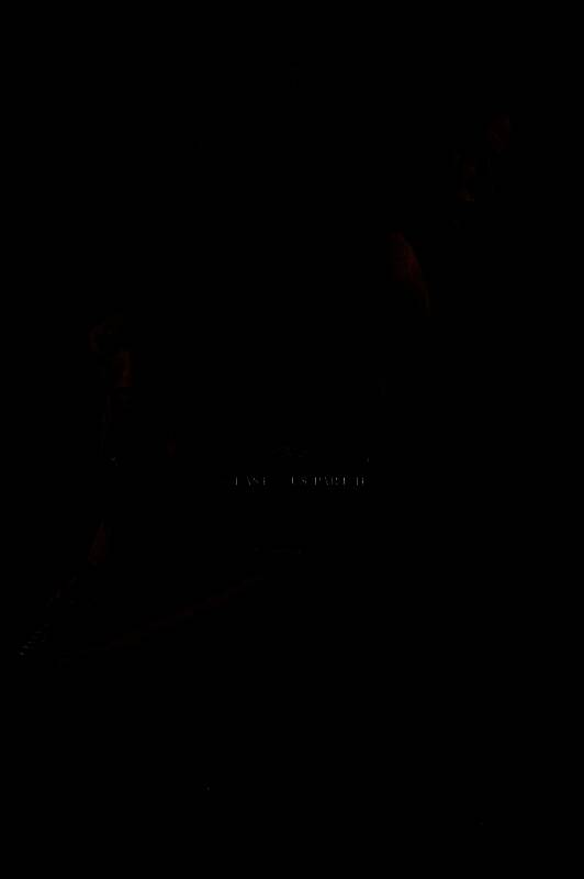 《最后的生还者》系列美术作品2