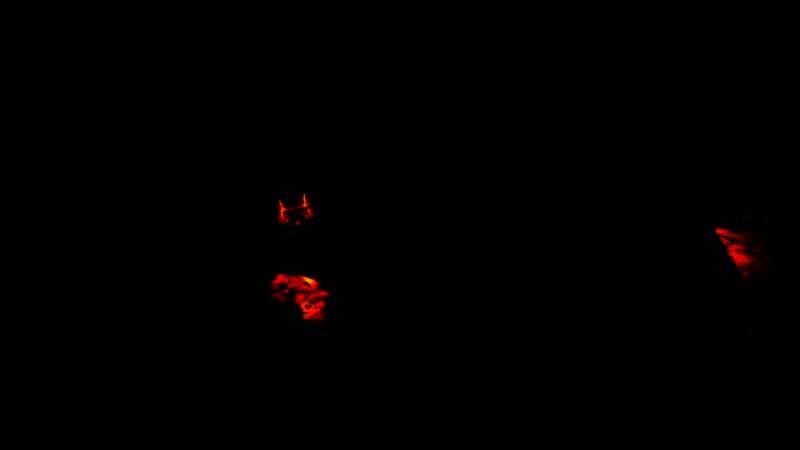 《博德之门3》相关游戏画面