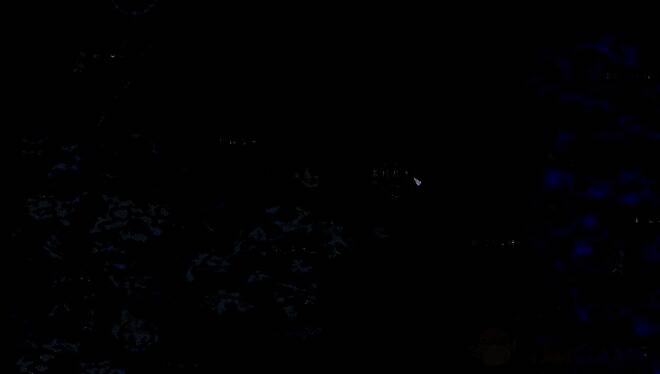 游拉牛宠物图片