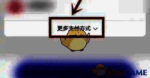 查看支付方式页面示例