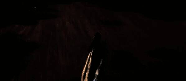 转身后方的霖骨花画面