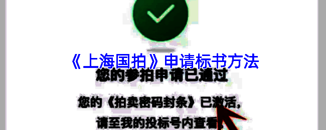 上海国拍APP相关流程示意图