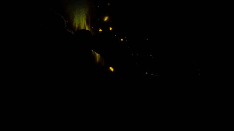 《艾尔登法环：黑夜君临》公爵夫人相关画面8