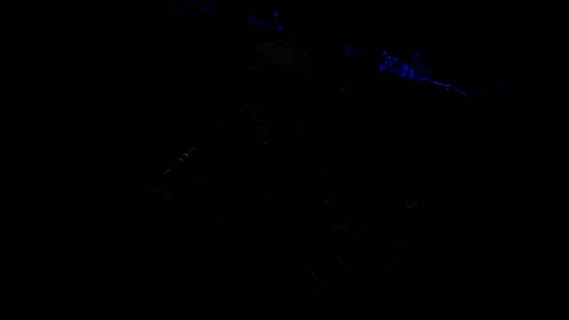 《艾尔登法环：黑夜君临》公爵夫人相关画面9