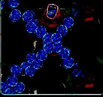 技能发射大量子弹展示图片