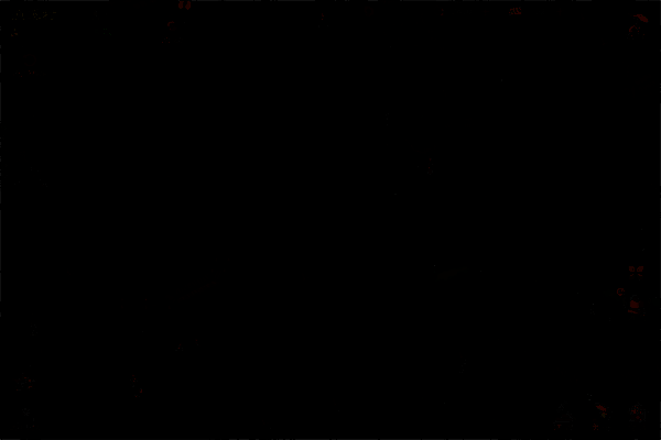 鱼溪村精卫放置点