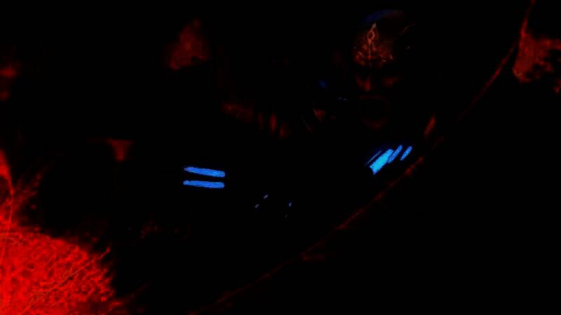 《无冬之夜2:增强版》相关图片