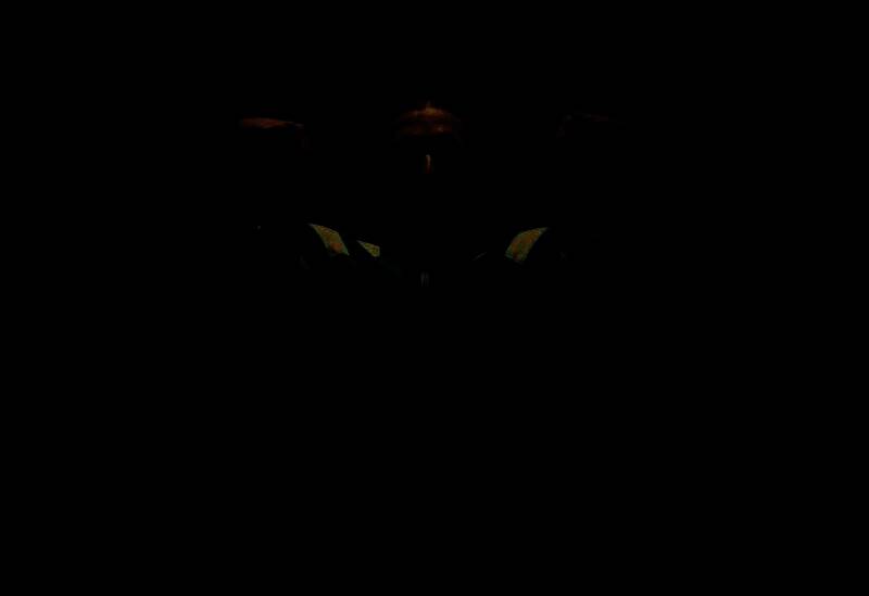 《饿狼传说：群狼之城》相关图片4