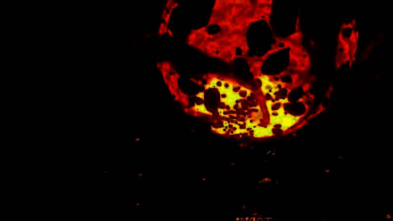 大金刚：蕉力全开游戏画面