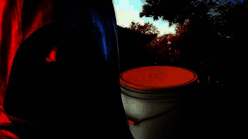 《刺客信条：影》游戏画面