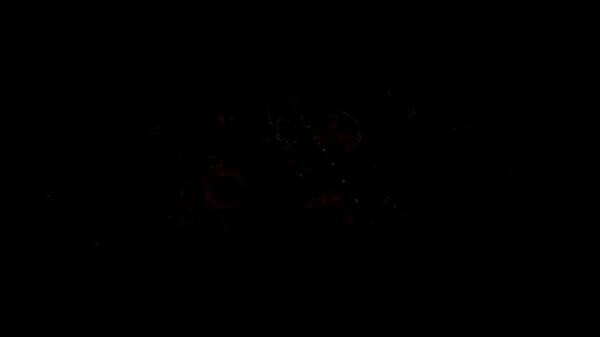 《黑暗之秋》游戏相关图片4