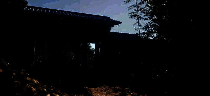 《刺客信条：影》游戏美景截图1