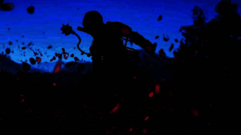 《刺客信条：影》游戏美景截图2