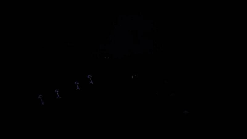 游戏《Koira》相关画面 11