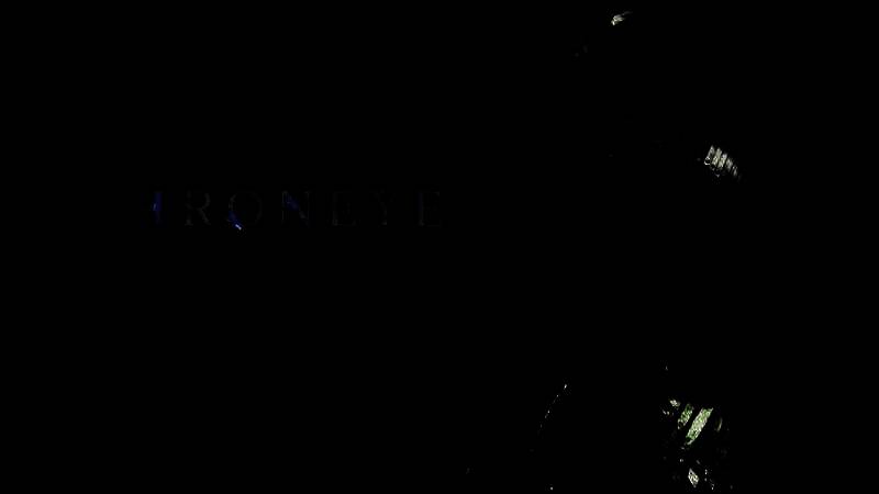 《艾尔登法环：黑夜君临》游戏视频画面1