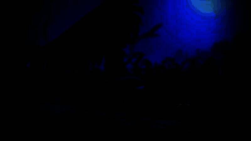 《Elusive》游戏特点展示图8