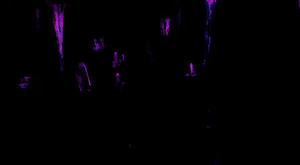 四个共享灵魂的角色