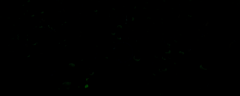 星际游者相关图片1