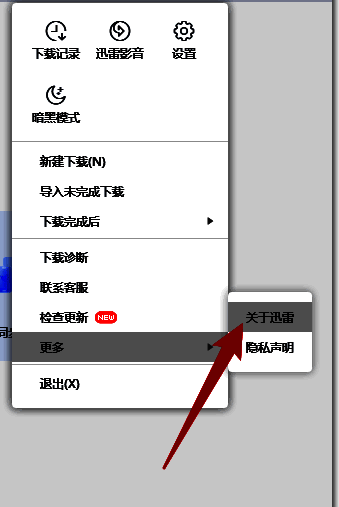 选择关于迅雷选项图片