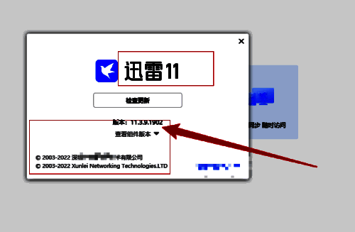 查看关于迅雷信息窗口图片