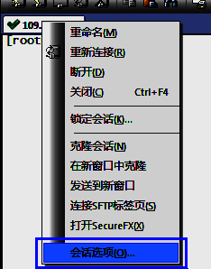 右键点击连接标签选择会话选项的界面图