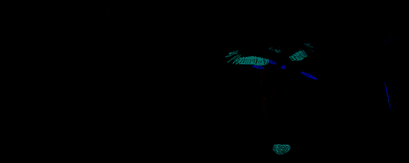 《北境之灵2》相关图片1