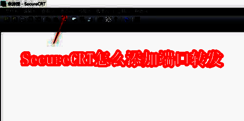SecureCRT相关展示图1