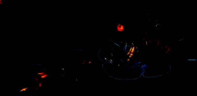 龙魂旅人中级训练营相关图片2