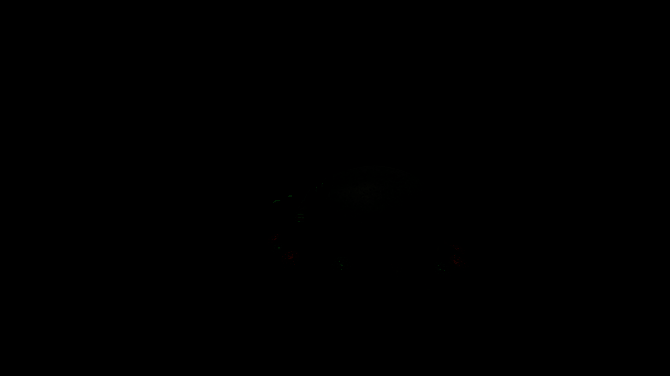 《Forest Floor》游戏画面相关图片5