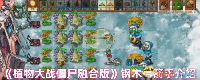 钢木弓箭手相关图片1