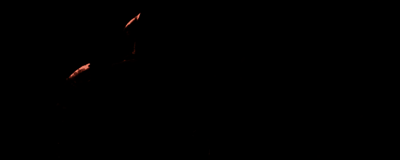 《上古卷轴4：湮灭重制版》游戏截图