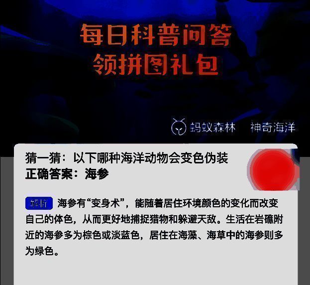 神奇海洋相关图片2