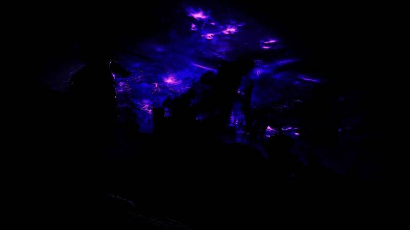 《艾尔登法环》相关图片2