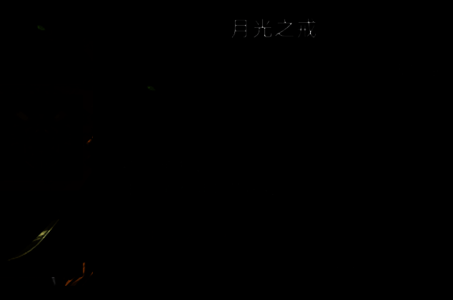 月光之戒装备展示