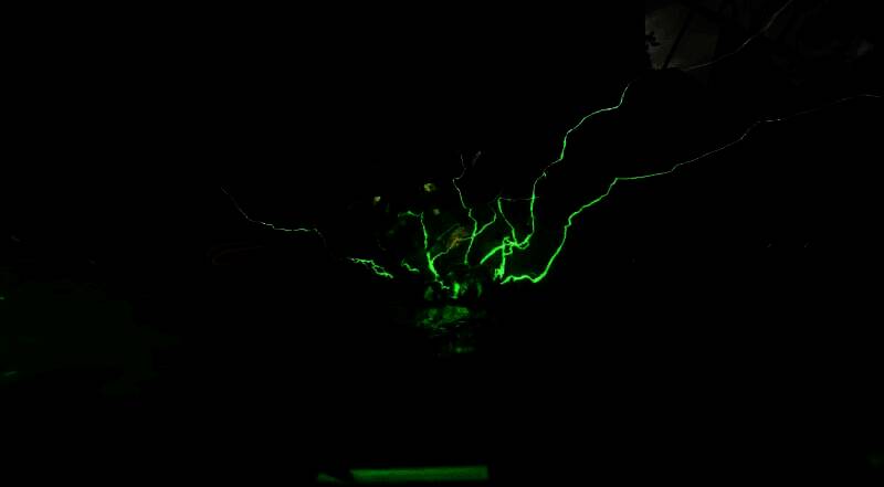 《毁灭战士：黑暗时代》游戏画面相关图片