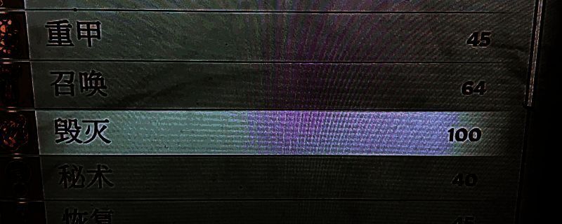 《上古卷轴4：湮灭重制版》游戏画面